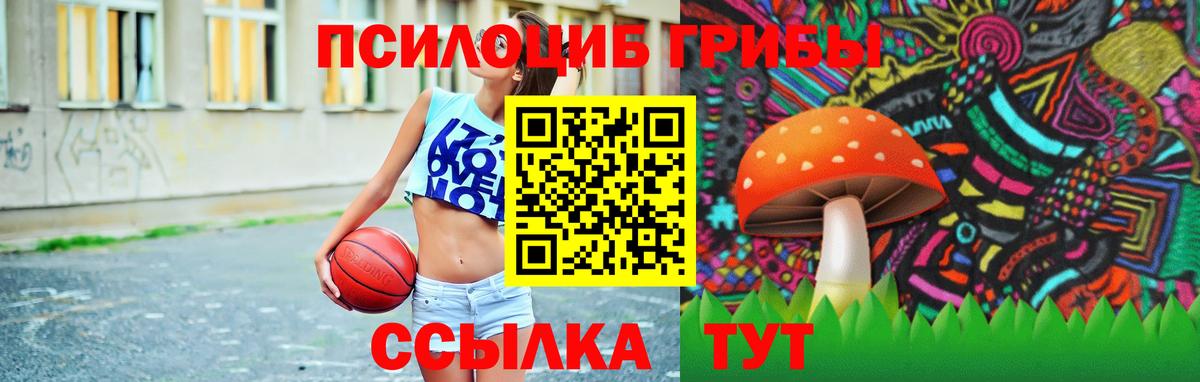 Псилоцибиновые грибы GOLDEN TEACHER  Вход с VPN  Королёв 