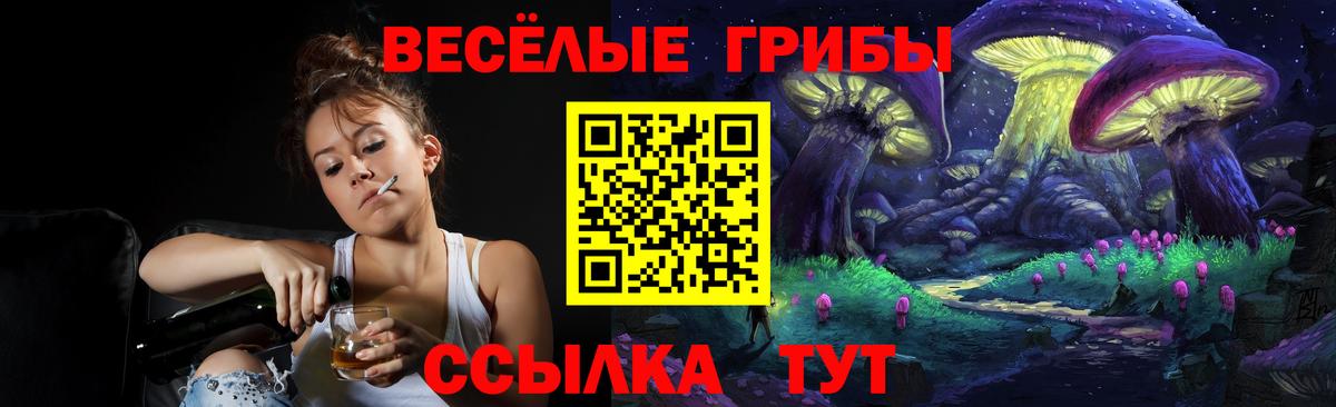 Галлюциногенные грибы Psilocybine cubensis Королёв